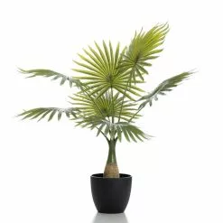 Scottish Everlastings 70cm Real Touch Fan Palm -clocks Sales Store 30797233 alt02