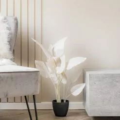 Scottish Everlastings 78cm Bird Of Paradise Natural