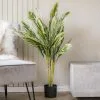 Scottish Everlastings 150cm Variegated Alpinia Plant