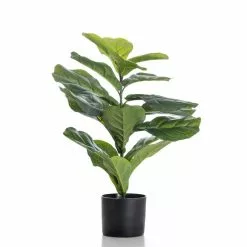 Scottish Everlastings 70cm Real Touch Fiddleleaf Fig 5 Scottish Everlastings 70cm Real Touch Fiddleleaf Fig -clocks Sales Store 30797246 alt02