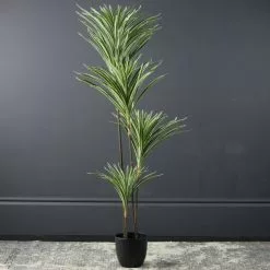 Scottish Everlastings Real Touch Yucca Tree In Pot 130cm