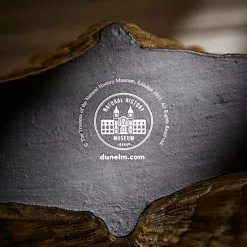 Natural History Museum Resin Shell Vase 10 Natural History Museum Resin Shell Vase -clocks Sales Store 30800585 alt04