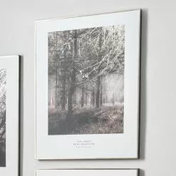 Pacific Lifestyle Mono Forest Trail Canvas Print