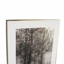 Pacific Lifestyle Mono Forest Trail Canvas Print -clocks Sales Store 30803448 alt03