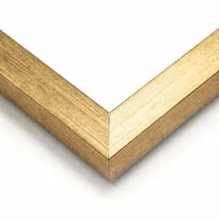 Dunelm Parrot King I Framed Print -clocks Sales Store 30808371 alt02