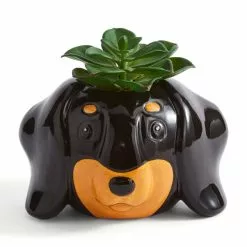 Dunelm Dachshund Dog Plant Pot