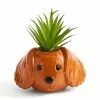 Dunelm Cocker Spaniel Dog Plant Pot