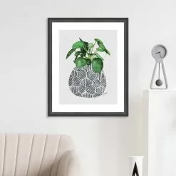 The Art Group Chinese Money Plant Framed Print