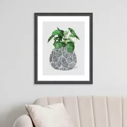 The Art Group Chinese Money Plant Framed Print -clocks Sales Store 30808947 alt03