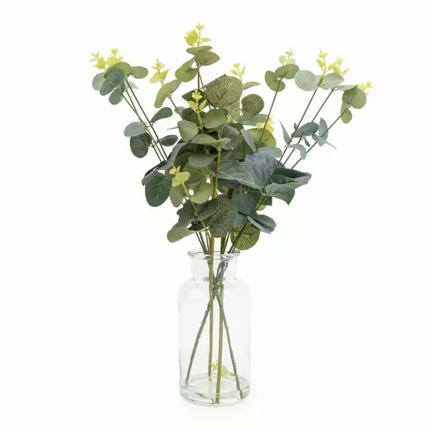 Dunelm 40cm Eucalyptus In Glass Vase 1 Dunelm 40cm Eucalyptus In Glass Vase