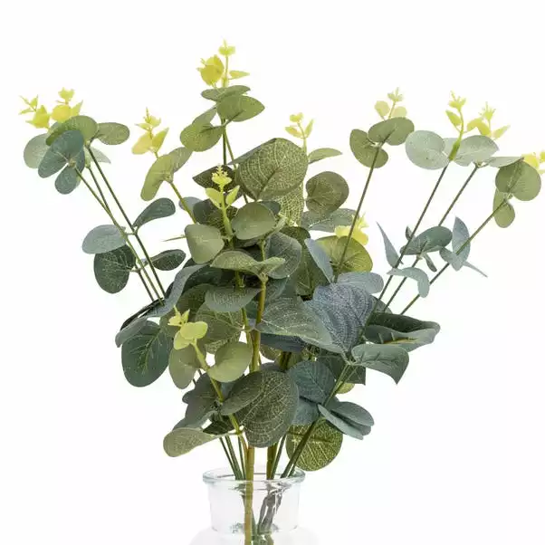 Dunelm 40cm Eucalyptus In Glass Vase 2 Dunelm 40cm Eucalyptus In Glass Vase - Image 2