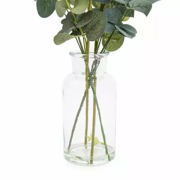 Dunelm 40cm Eucalyptus In Glass Vase 3 Dunelm 40cm Eucalyptus In Glass Vase - Image 3
