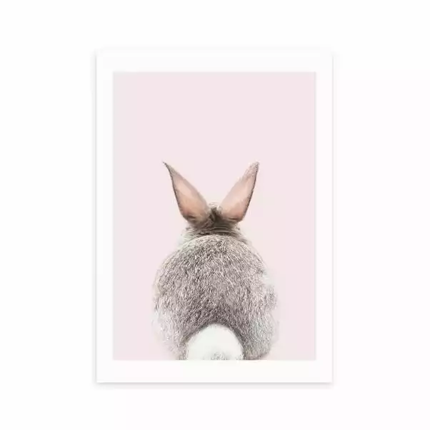 East End Prints Baby Bunny Tail Print 1 East End Prints Baby Bunny Tail Print