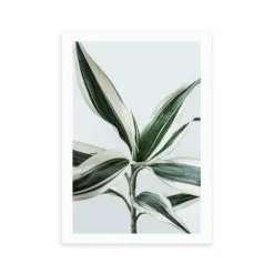 East End Prints Foliage 1 Print 3 East End Prints Foliage 1 Print -clocks Sales Store 30841776 alt01