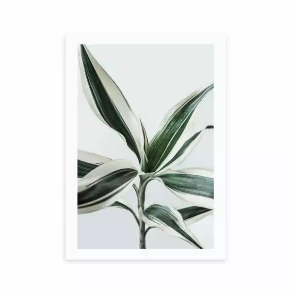 East End Prints Foliage 1 Print 2 East End Prints Foliage 1 Print - Image 2