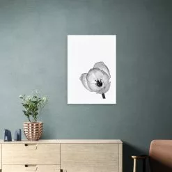 East End Prints Delicate Poppy Print